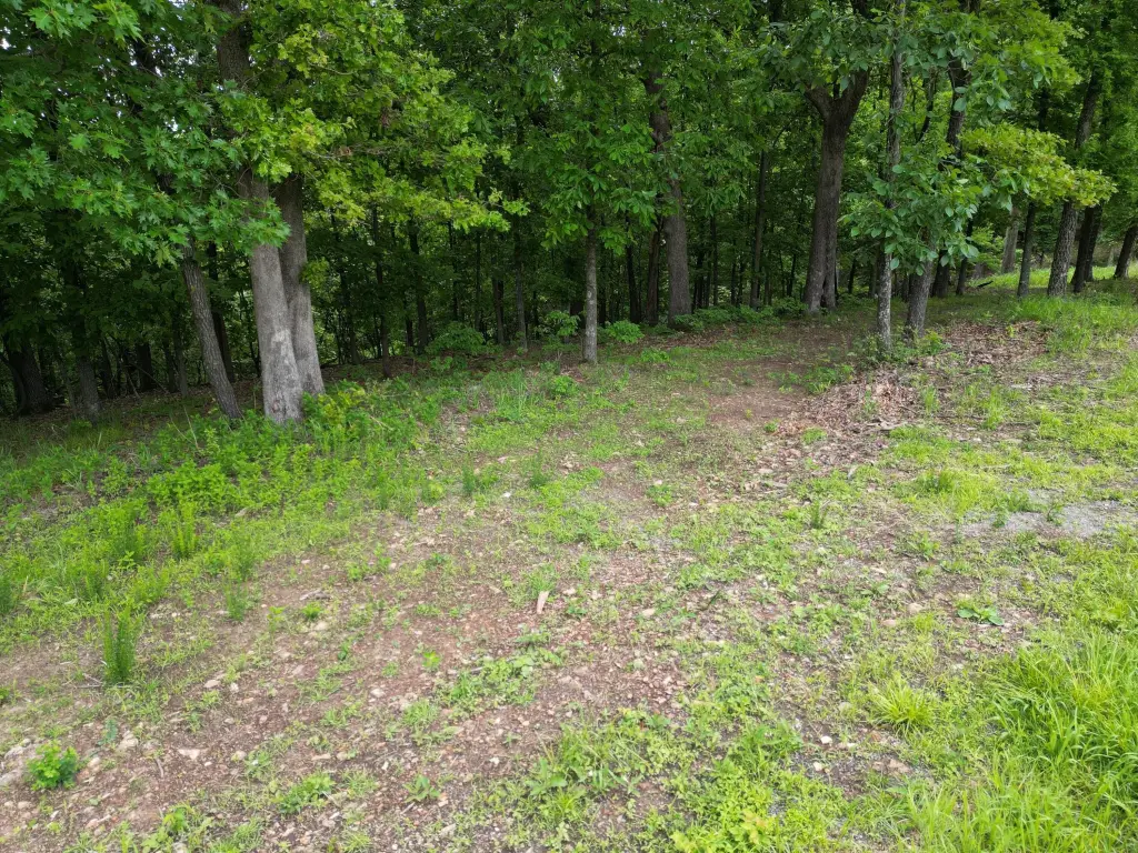 Picture 11