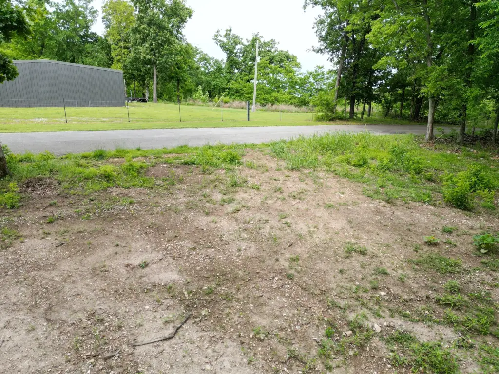 Picture 14