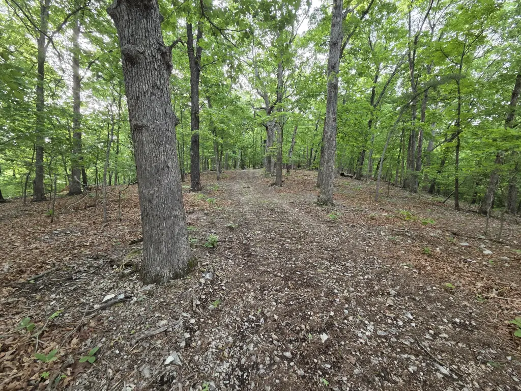 Picture 17