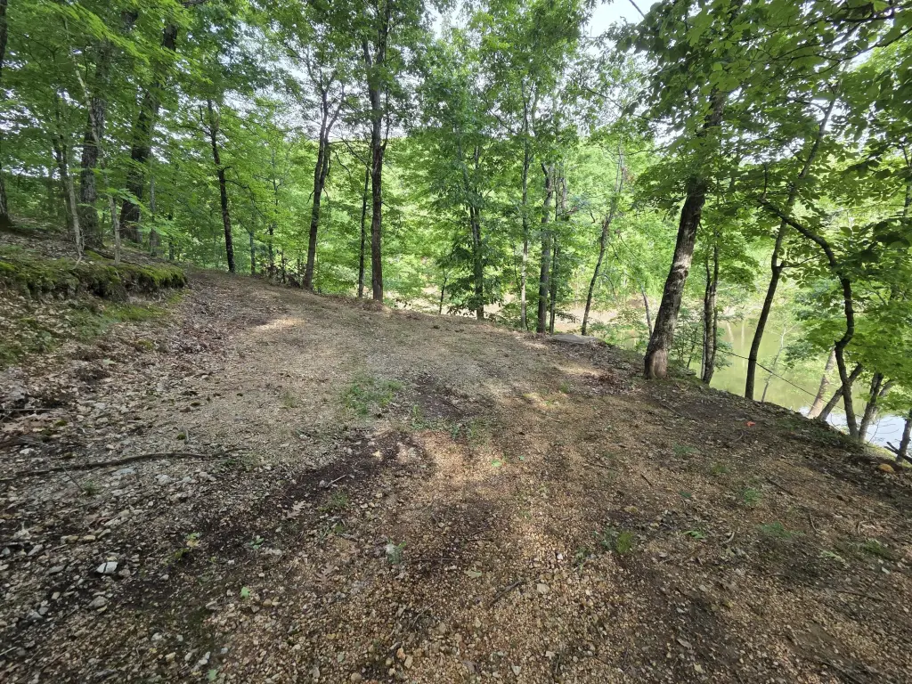 Picture 14