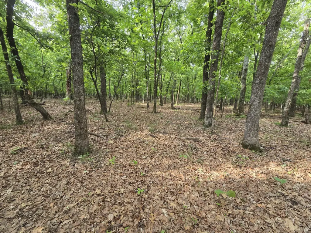 Picture 19