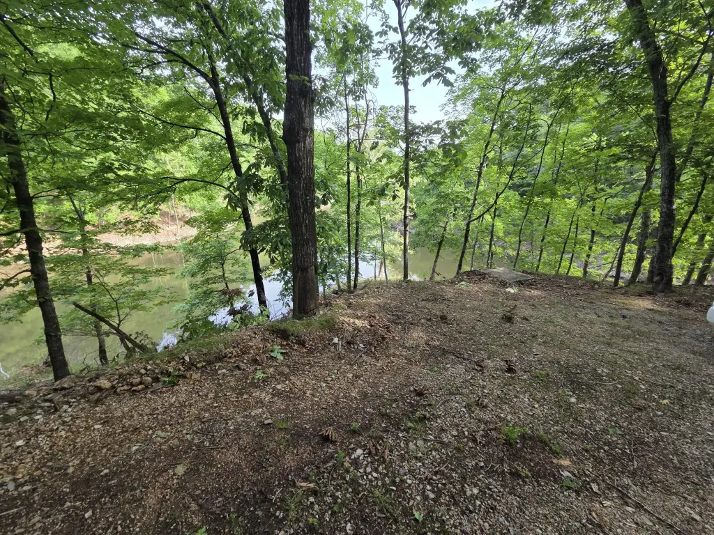 Picture 11