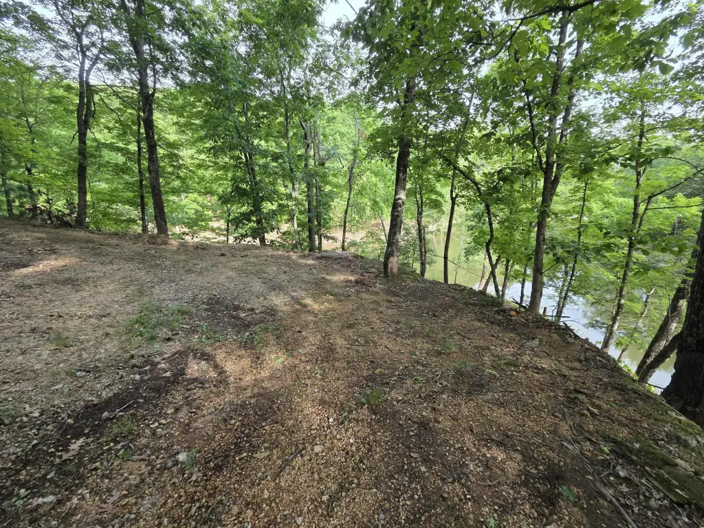Picture 16