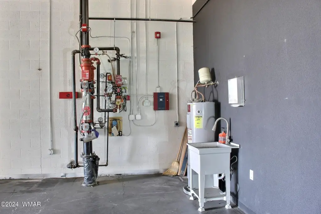 Picture 8