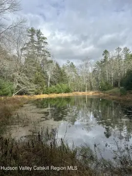 Accord, NY Land with Pond