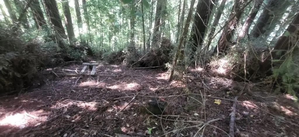 Picture 6