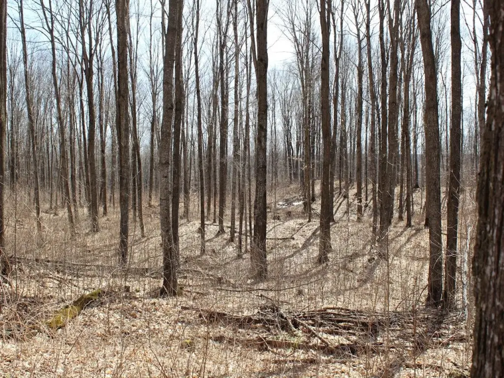 Picture 7