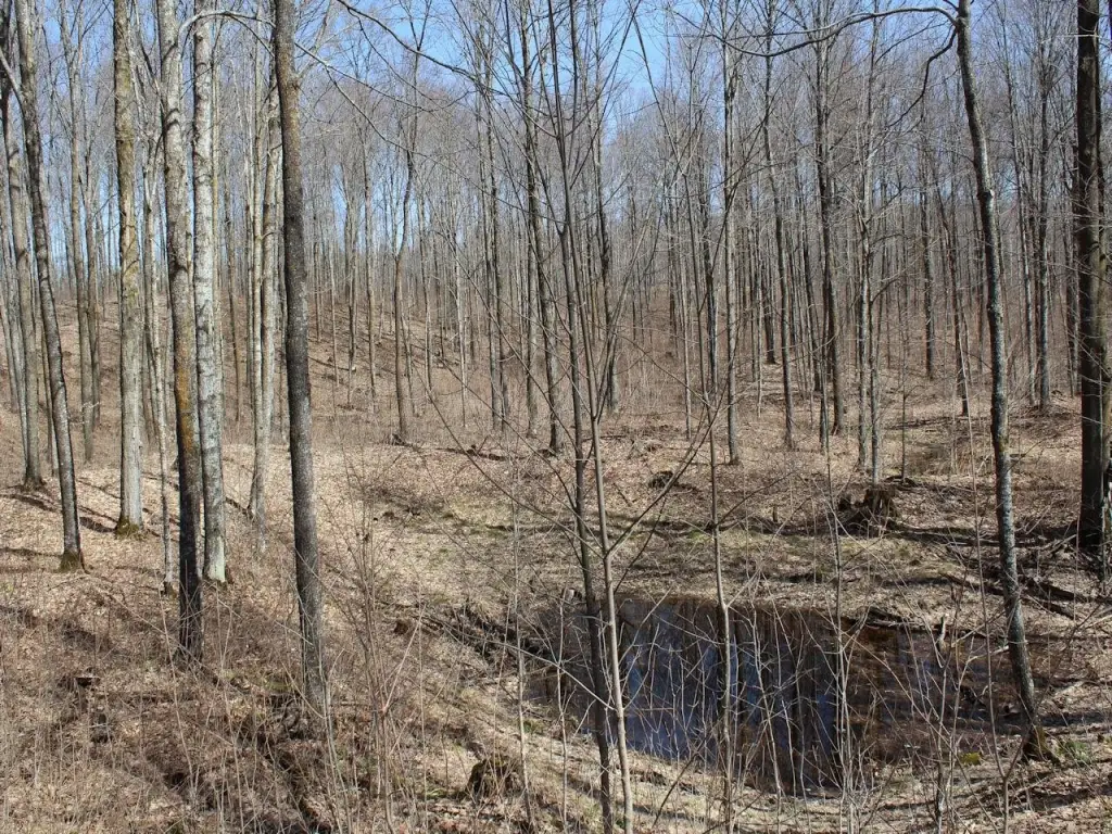 Picture 6