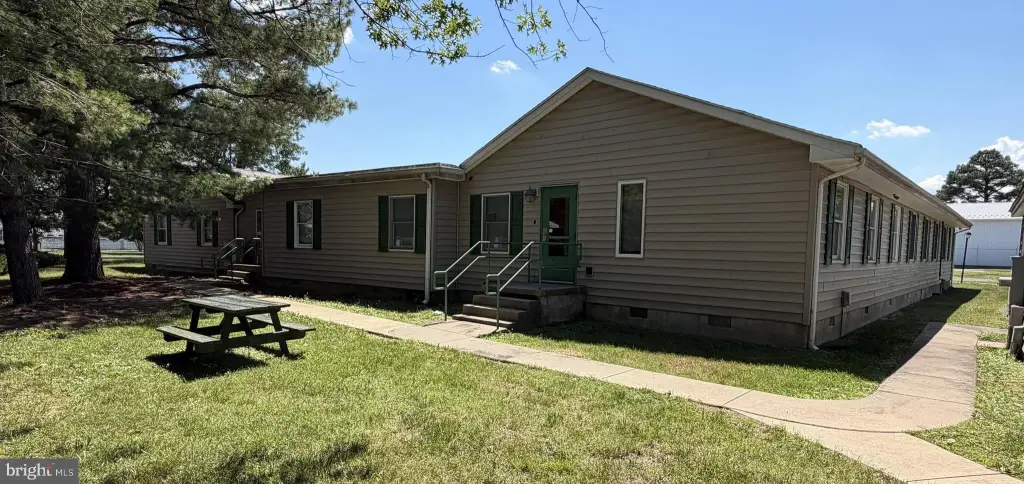Picture 5