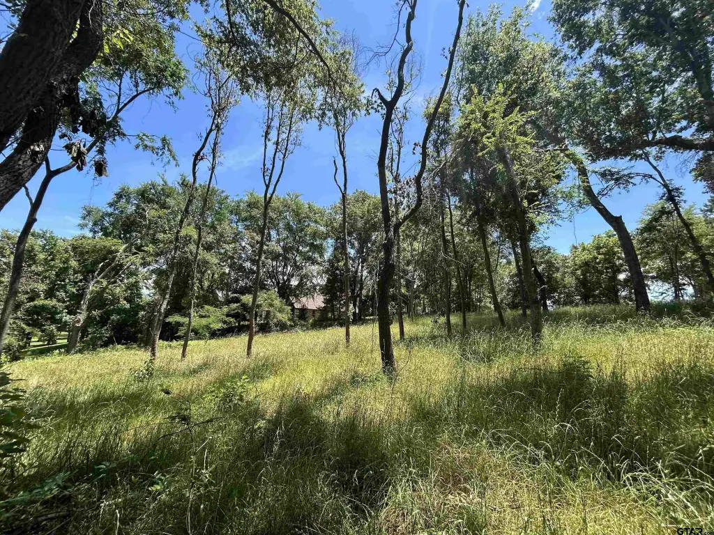Picture 22