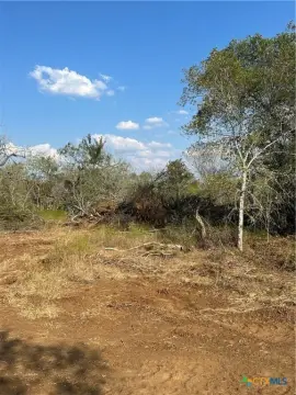 Stockdale, TX Land For Sale