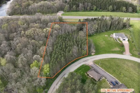 Wooded Lot Near Black River