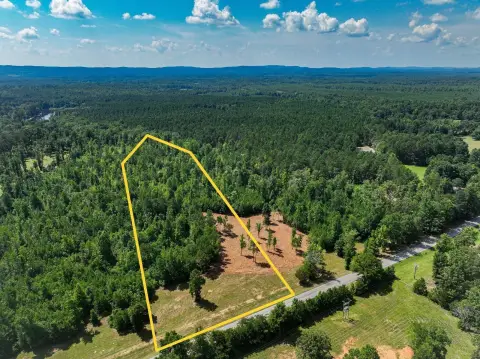 Residential Land Near Sylacauga, AL