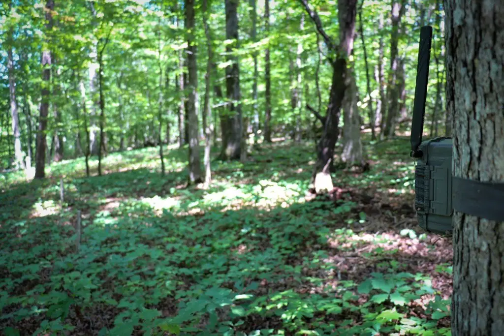 Picture 10