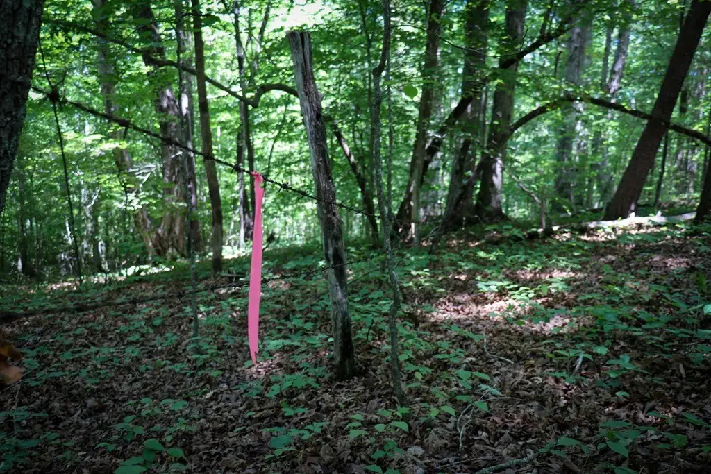 Picture 22