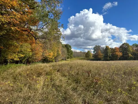 Wooded Land Near State Forests