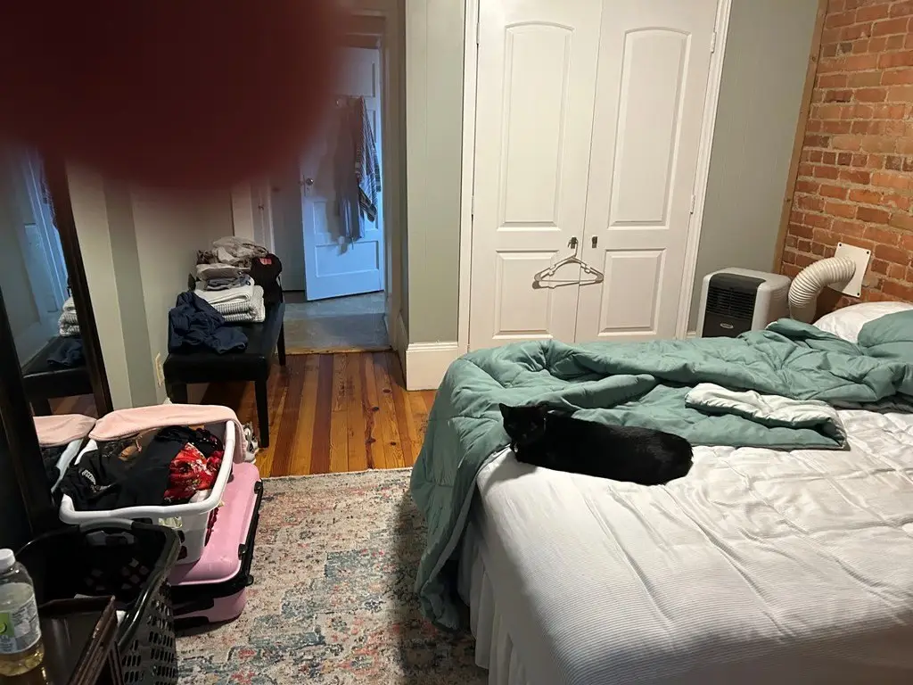 Picture 21