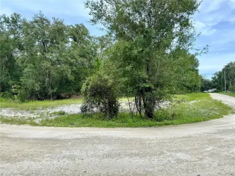 Residential Land Near Withlacoochee River