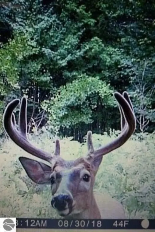 Picture 13