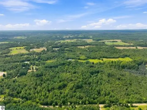 Wooded Hunting Land
