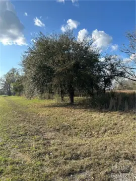 15-Acre Homesite in Burke County