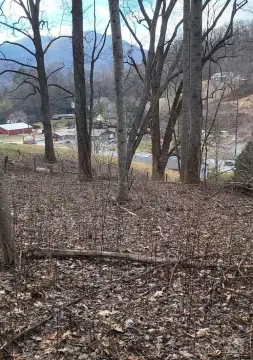 Prime Land in Waynesville, NC