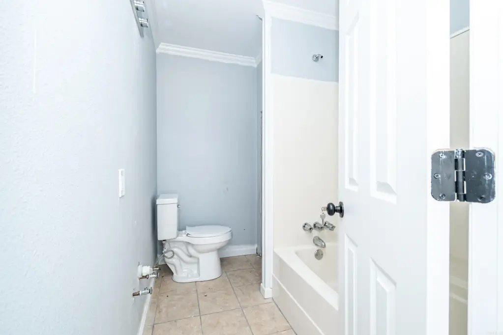 Picture 28