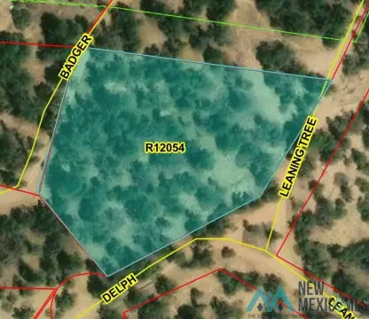 Land Parcel Near Pinehill, NM