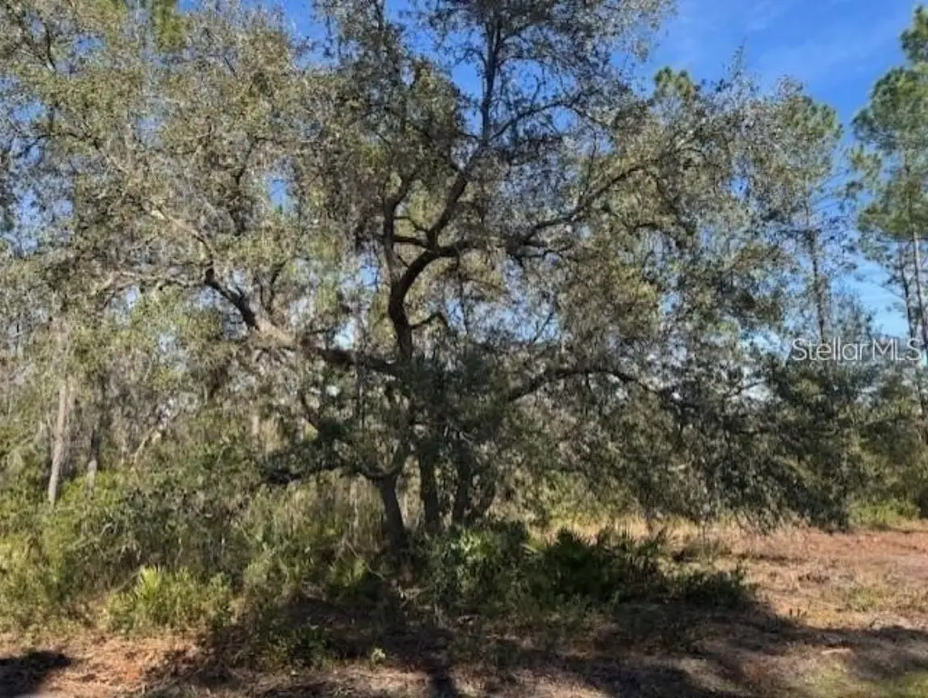 Picture 16