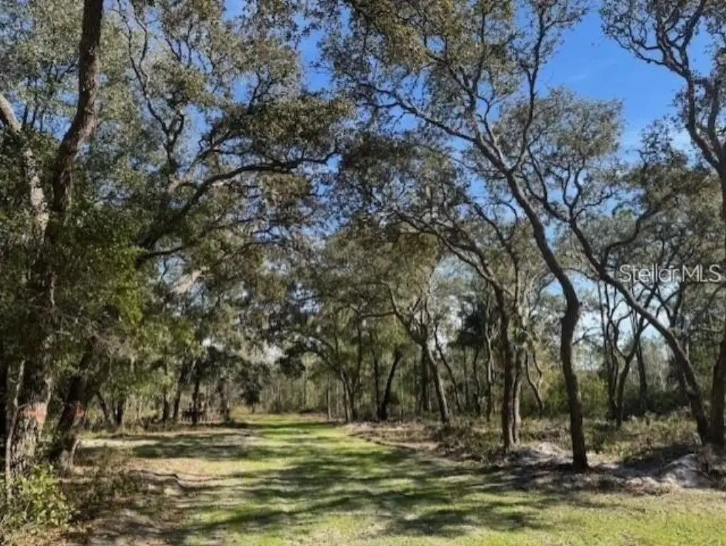 Picture 18