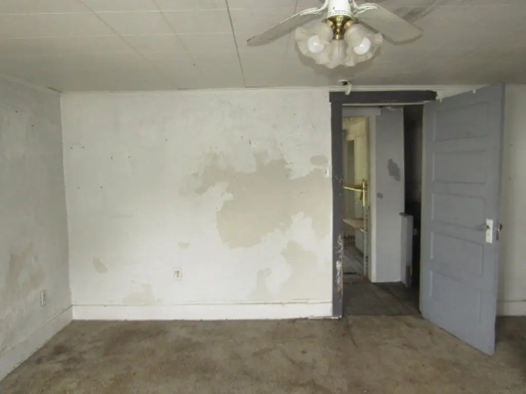 Picture 15