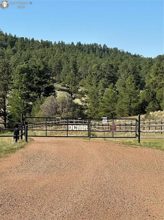 Picture 28