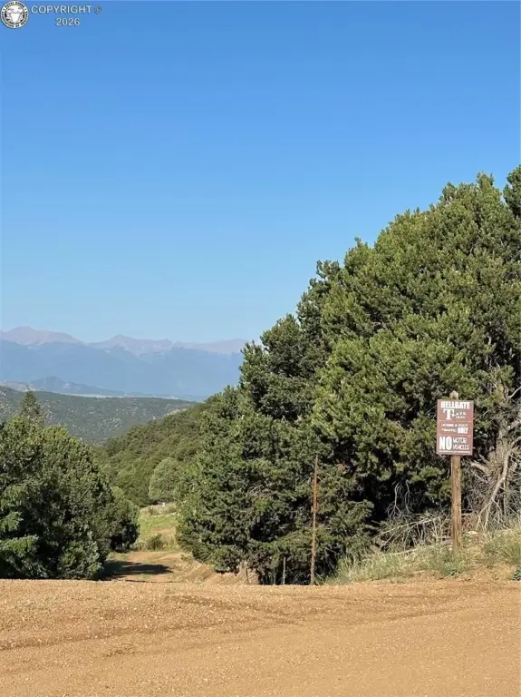 Picture 25