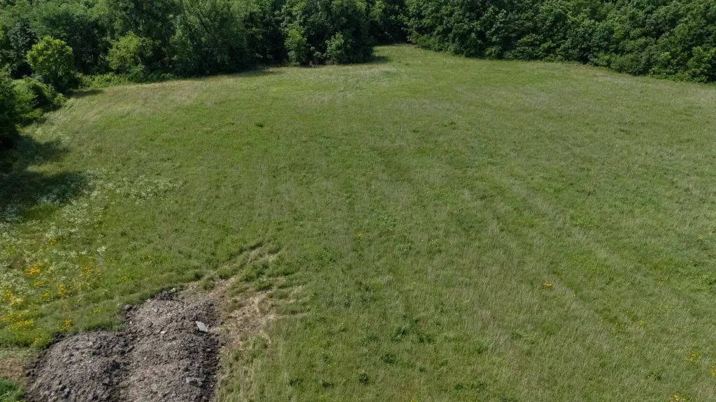 Picture 15