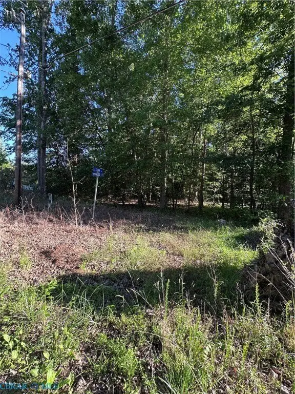 Picture 3