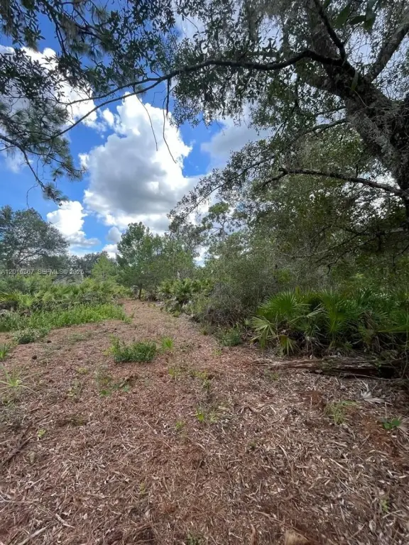 Picture 7