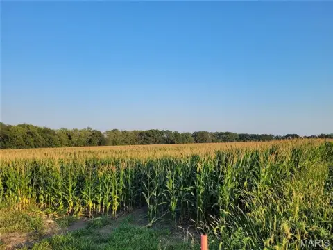 Bellflower MO Farm Land