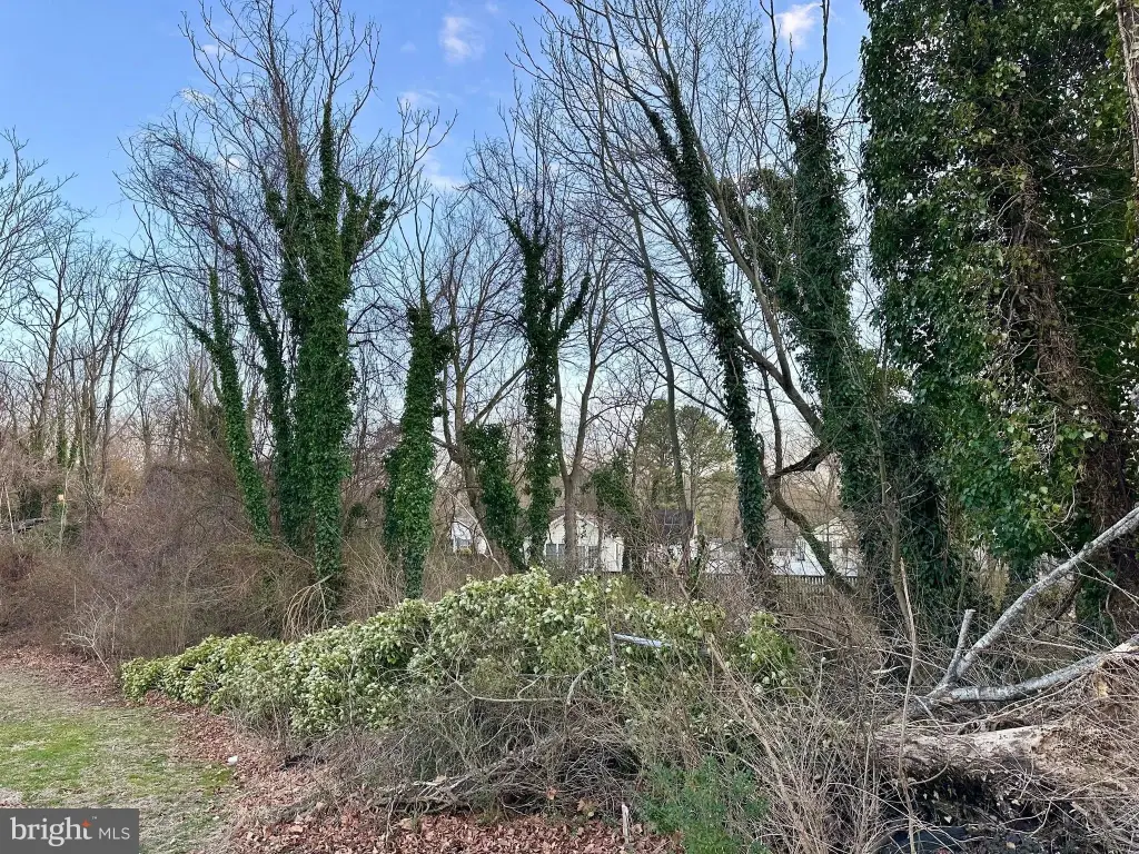 Picture 5