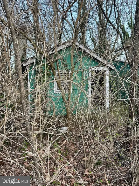 Picture 6