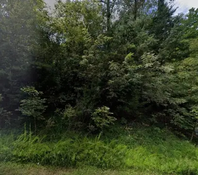 Wooded Lot Near Leesville Lake
