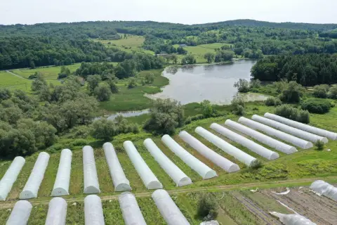 Lakefront Greenhouse Farm