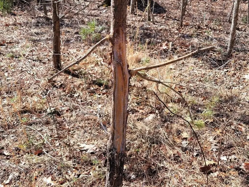 Picture 14