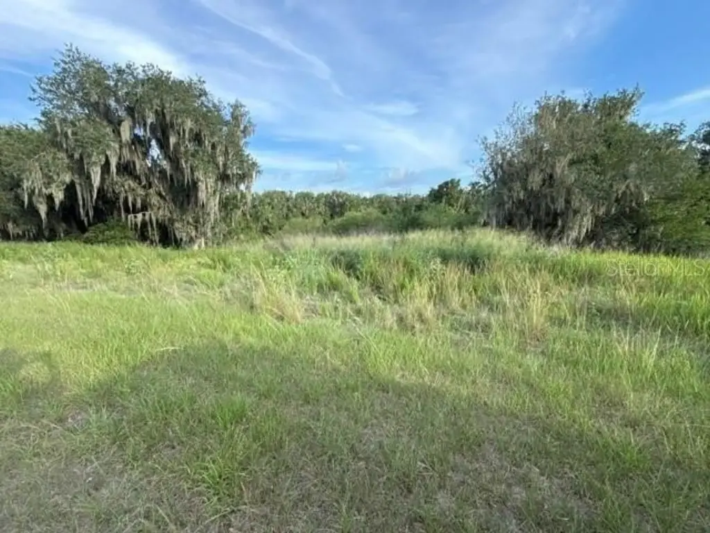 Picture 15