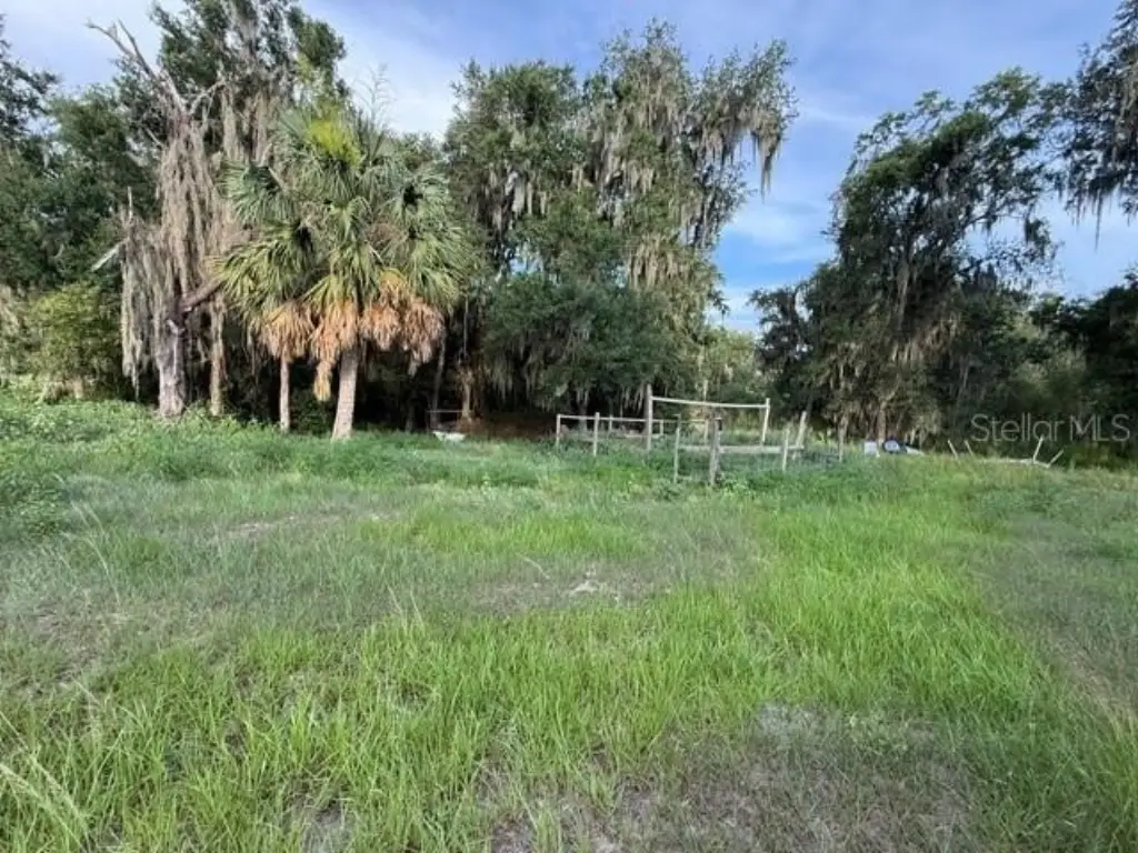 Picture 4