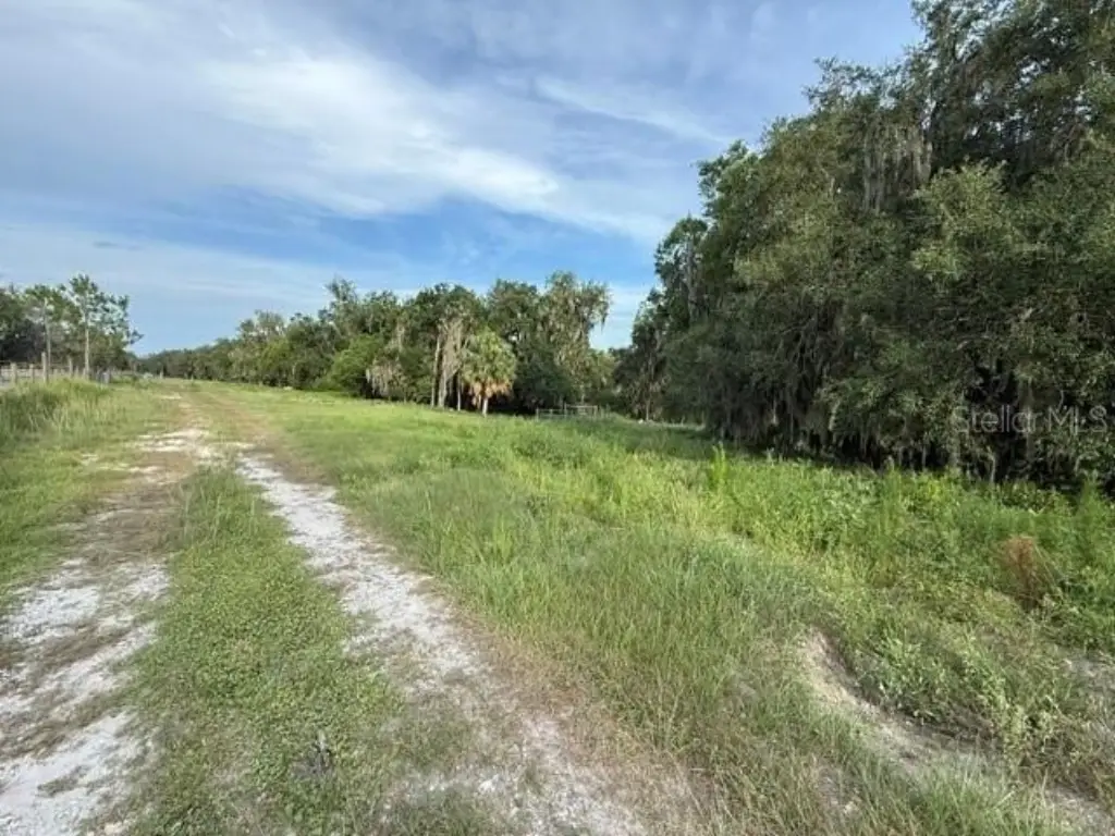 Picture 9