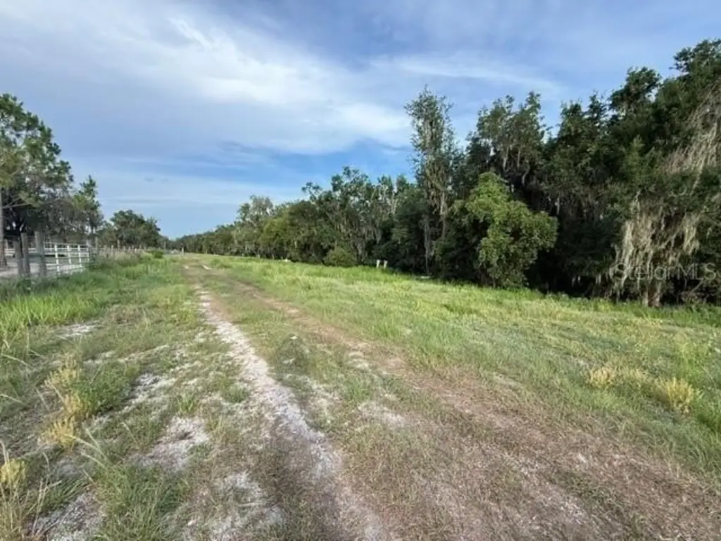 Picture 2