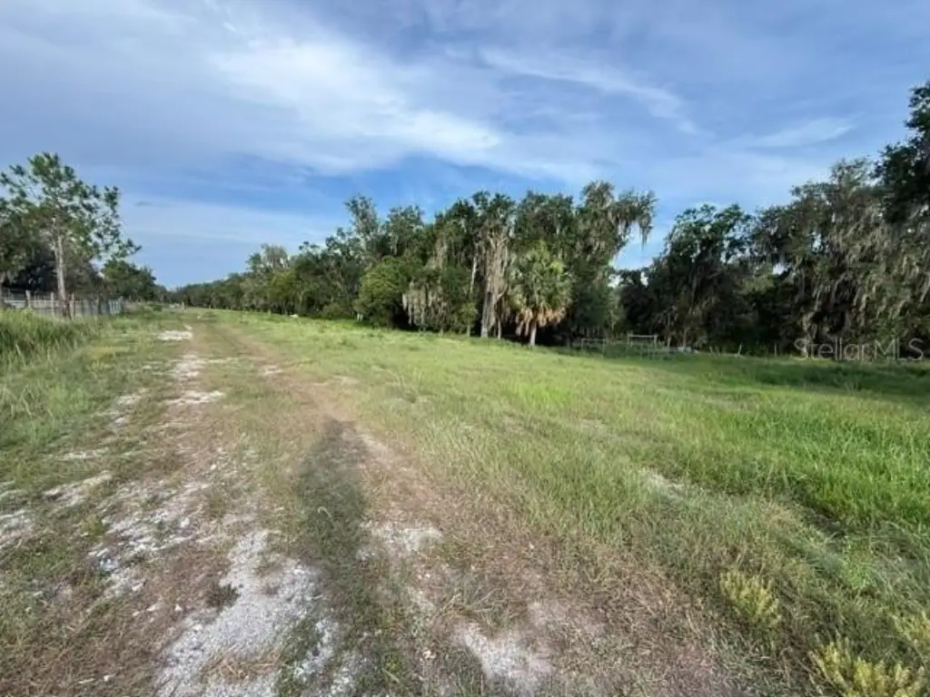 Picture 8