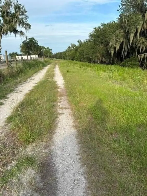 Picture 14