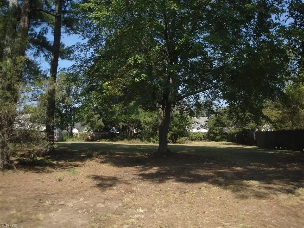Picture 15