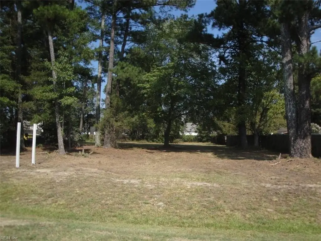 Picture 14
